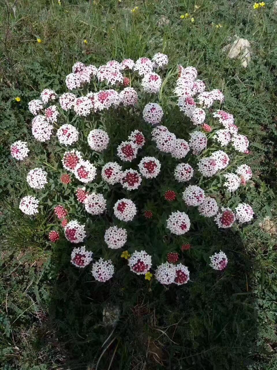 甘肃的温情日常,黄土里的故事